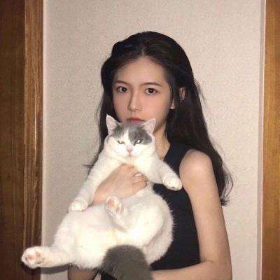 天下霸王手机版